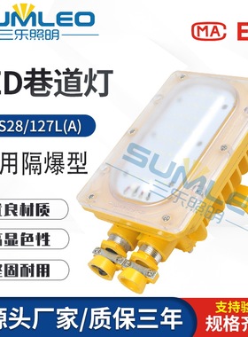 DJS28/127L(A)矿用隔爆型兼本安型LED巷道灯 矿用LED照明灯投光灯