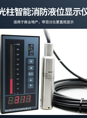 投入式液位仪WH311 液晶光柱显示仪表WH6-T 量程范围：0-1m...20m