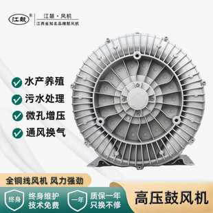 工业增氧鱼塘漩涡气泵沼气增压漩涡气泵低噪音高压鼓风机旋涡风机