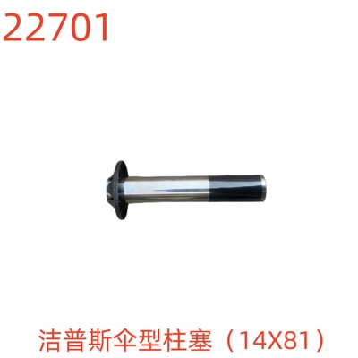 洁普斯伞型柱塞（14X81）-22701号