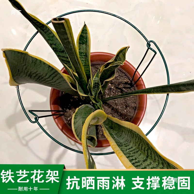 铁艺花支撑架护花架金钱树绣球花卉爬藤植物防倒伏半圆护叶固定架