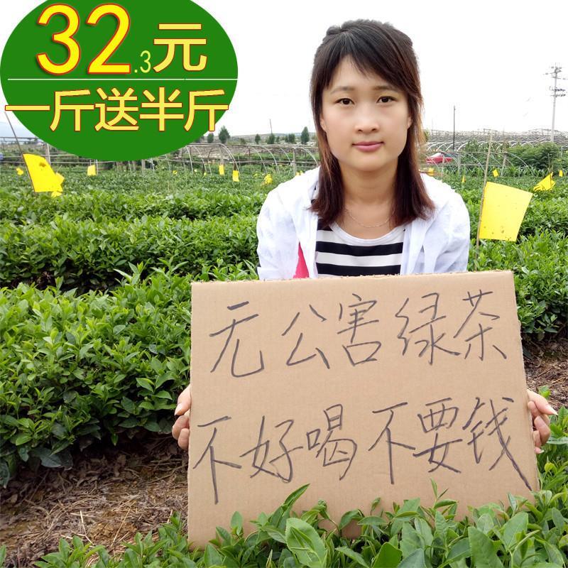 新货绿茶品茶精选茶250克x3包春茶高山云雾茶茶