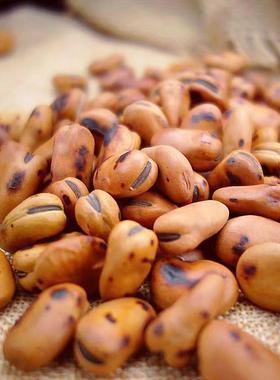 正宗喜云祥绿心蚕豆干 乾炒原味蚕豆炒胡豆炒货铁板蚕豆零食特产