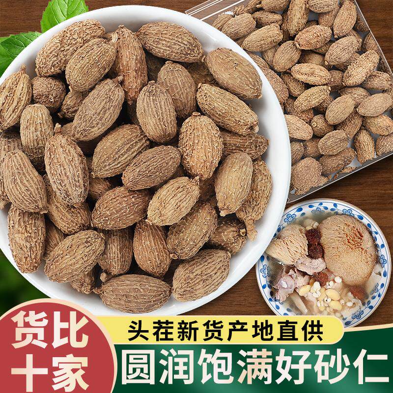 新日期砂仁500克包邮广砂