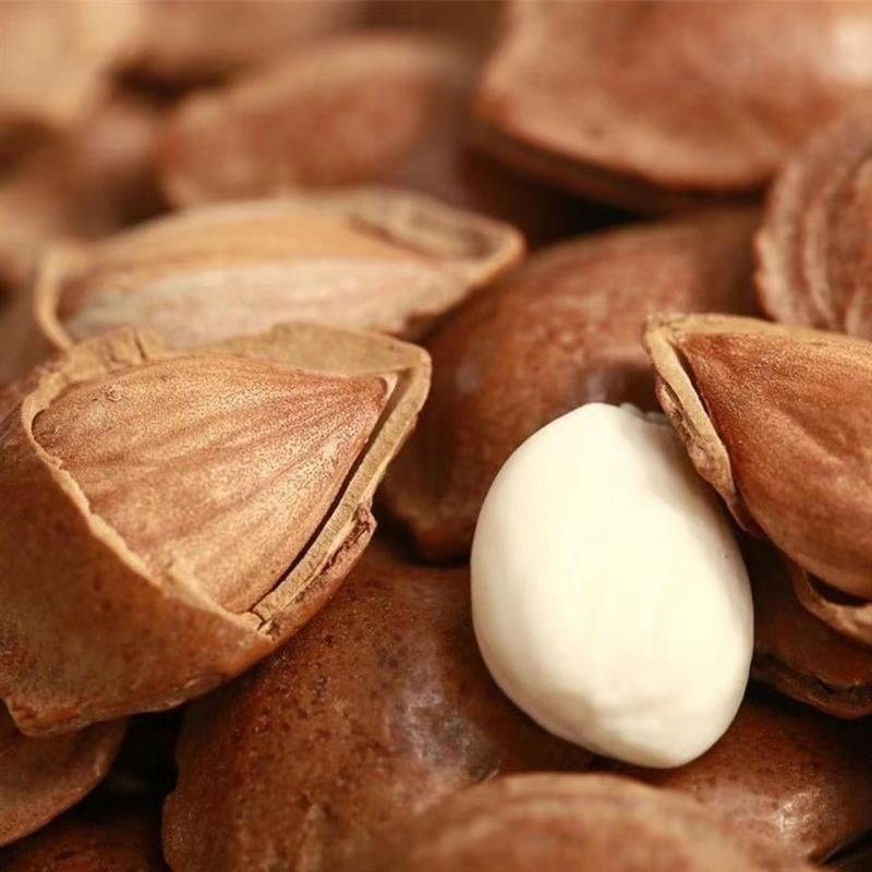 正宗小白杏新货开口杏仁大