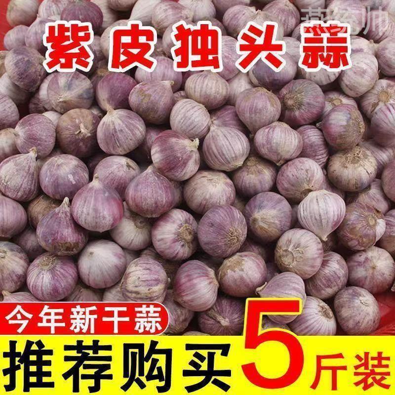 新货云南独头蒜大果独蒜头