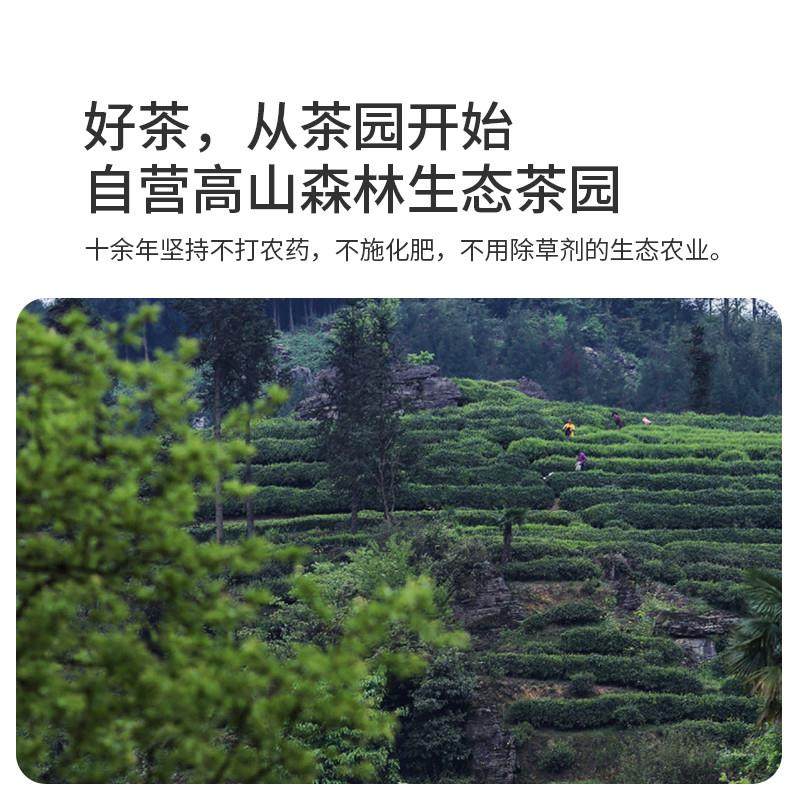 正宗袋泡茶绿茶红茶栀子花香玫瑰茉莉花茶腊梅桂花冷泡茶包,茶,组合型花茶,淘宝优惠券,粉丝福利购,淘宝优惠卷