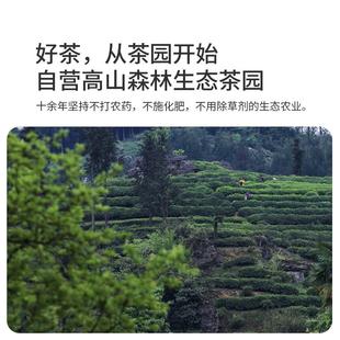 正宗袋泡茶绿茶红茶栀子花香玫瑰茉莉花茶腊梅桂花冷泡茶包