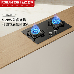 名气老板燃气灶猛火灶小黑翼Pro家用双灶定时煤气灶天然气灶6520