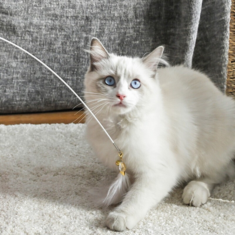 Mioo逗猫棒伸缩幼猫小猫玩具用品自嗨钓猫棒耐咬长杆羽毛猫咪用品