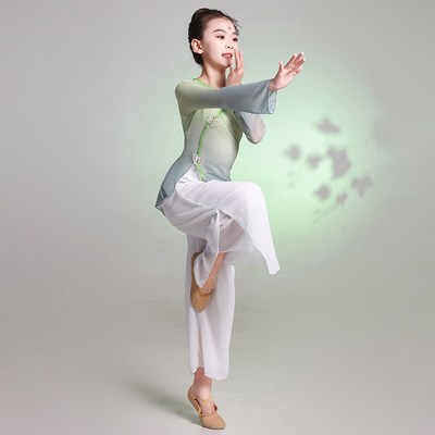 儿童古典舞练功服女纱衣幼儿园演出表演服舞蹈班身韵国风扇子舞