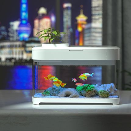 2024年新款鱼缸懒人免换水桌面生态客厅自循环卧室新款办公桌鱼缸