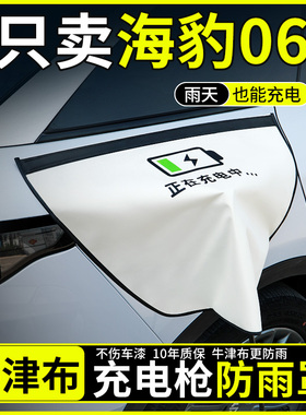 比亚迪海豹06dmi/GT电枪防雨罩新能源电车汽车充电口防水罩盖遮雨