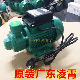 B清水泵330W 廣東凌霄1DB35 1DB65 家用抽水機(jī)550W 1DB45 750W
