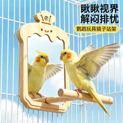 鹦鹉镜子站架造景玩具