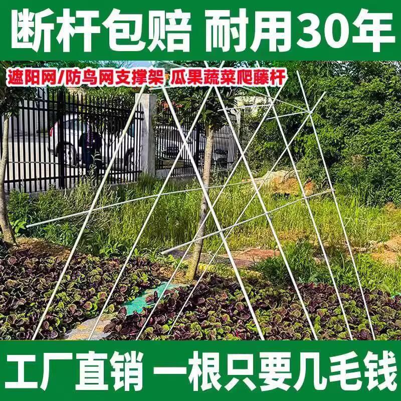 黄瓜爬藤架杆番茄花架植物架子扶苗园艺搭棚拱棚支架神器豆角西瓜