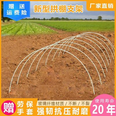 大棚支架拱杆育苗新型小拱棚实心玻璃纤维农用蔬菜骨架种菜支撑杆