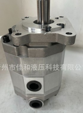 铝泵系列齿轮泵 2CBFC2-B63-16花右 压力文峰