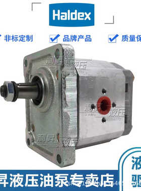 德国翰德HALDEX齿轮泵 WP15A1B380R55PB151N 1830653 农机车辆泵