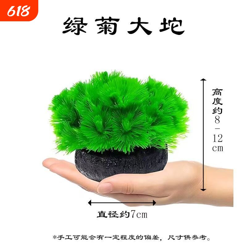 鱼缸造景绿菊花水草装饰新手级好养耐活增氧淡水活体植物定植生态