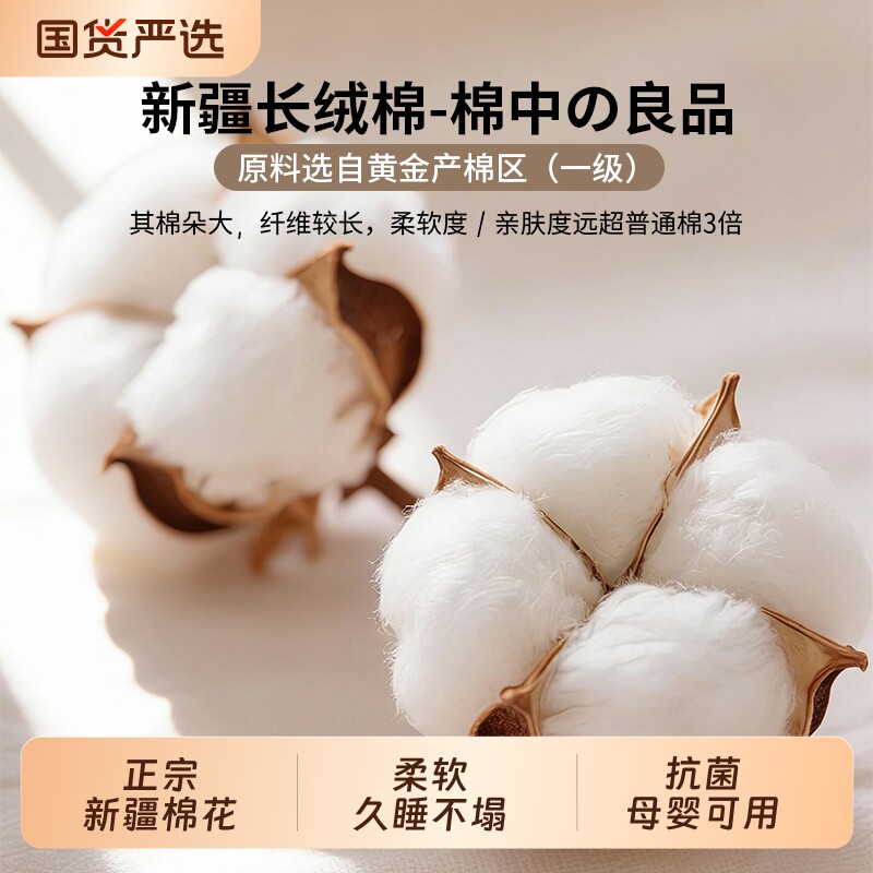 新疆棉花床垫褥子家用学生宿舍单人被褥铺底秋冬加厚棉絮软垫折叠