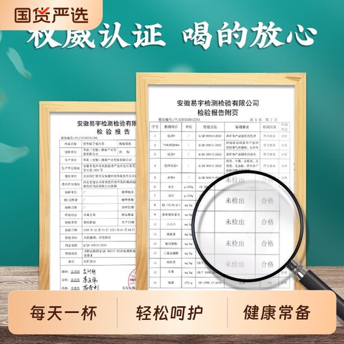 南京同仁堂菊苣栀子茶蒲公英根绛尿酸茯苓养生茶包高嘌呤泡水饮品