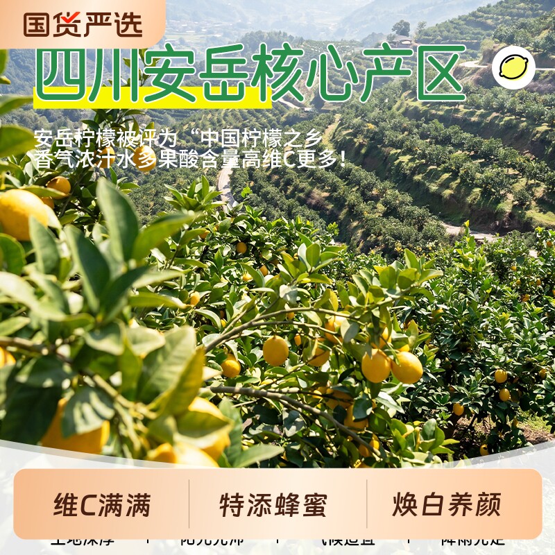 冻干柠檬片泡水喝独立包装蜂蜜干片正品旗舰店冷泡非即食VC水果茶