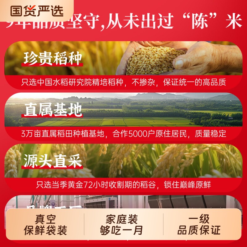 新米丝苗米大米5kg炒饭真空包装长粒香米猫牙米试吃商品有机优质