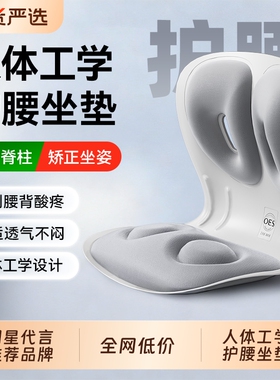 OES人体工学护腰坐垫久坐神器