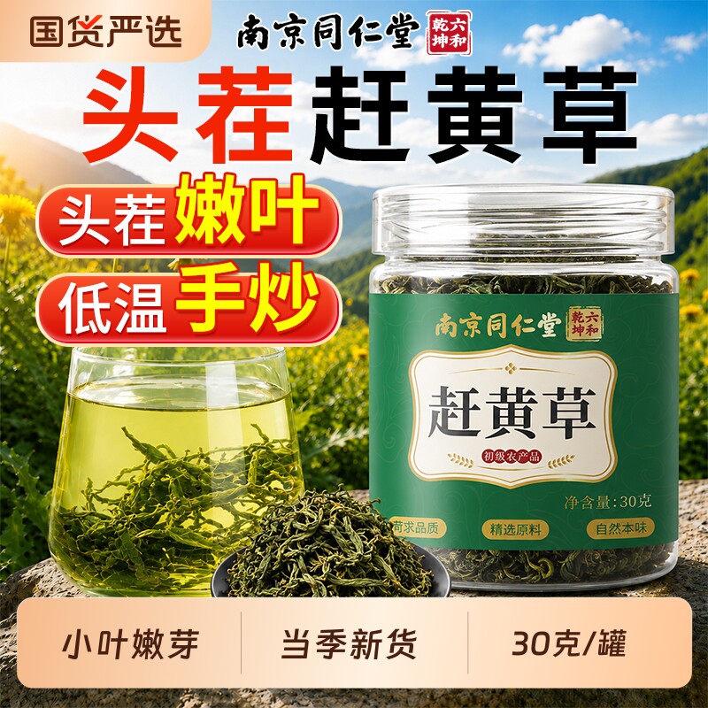 赶黄草当季新货30克养生茶泡水喝图片