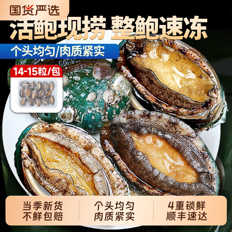 新鲜冷冻活冻大鲍鱼超大号鲜活生鲜火锅烧烤海鲜贝类食材顺丰包邮图片