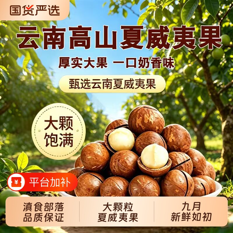 新货奶香味夏威夷果500g可可脆片烘焙原料带壳夏果坚果零食1斤装
