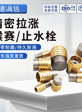 懂模帝-堵头/喉塞 Z941 Z942 Z94 BSP MSWT1 PT NPT E2072 系列