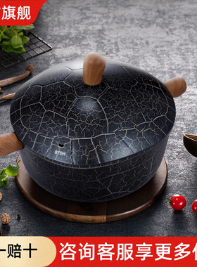 BTSM汤锅抗菌龟吉汤锅BTWG-T60炖锅家用不挑锅具燃气电磁炉用