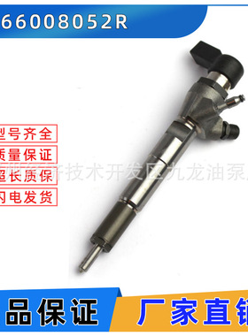 166008052R 喷油器电喷共轨 A2C59513484 5WS40536喷油嘴总成