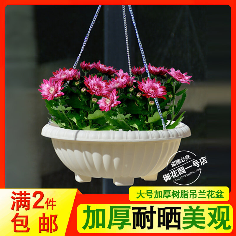 吊兰花盆树脂吊篮壁挂铁链垂吊盆圆形特大中小号塑料绿萝浅矮花盆图片