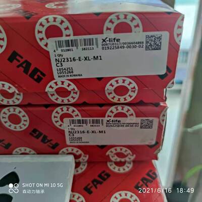 FAG NJ2316-E-XL-M1 德国轴承NU NUP N 2304 2305 2306 2307 2308