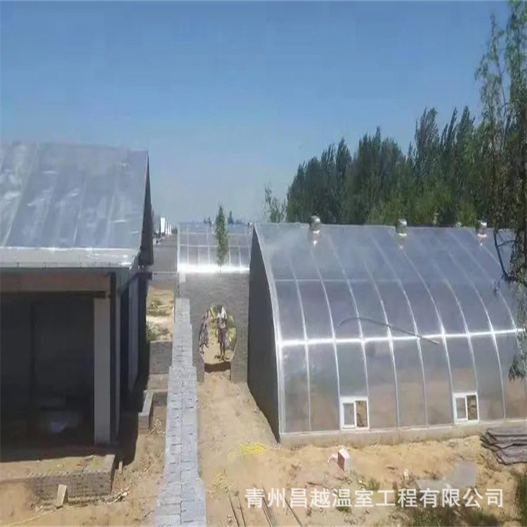 全钢管式日光温室大棚一体化设计花卉种植育苗基地专业生产厂家,模玩/动漫/周边/娃圈三坑/桌游,文化/体育周边,淘宝优惠券,粉丝福利购,淘宝优惠卷