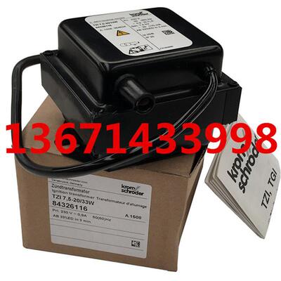 A143*TZI7.5-12/100WZ点火变压器霍科德Kromschroeder燃烧器点火