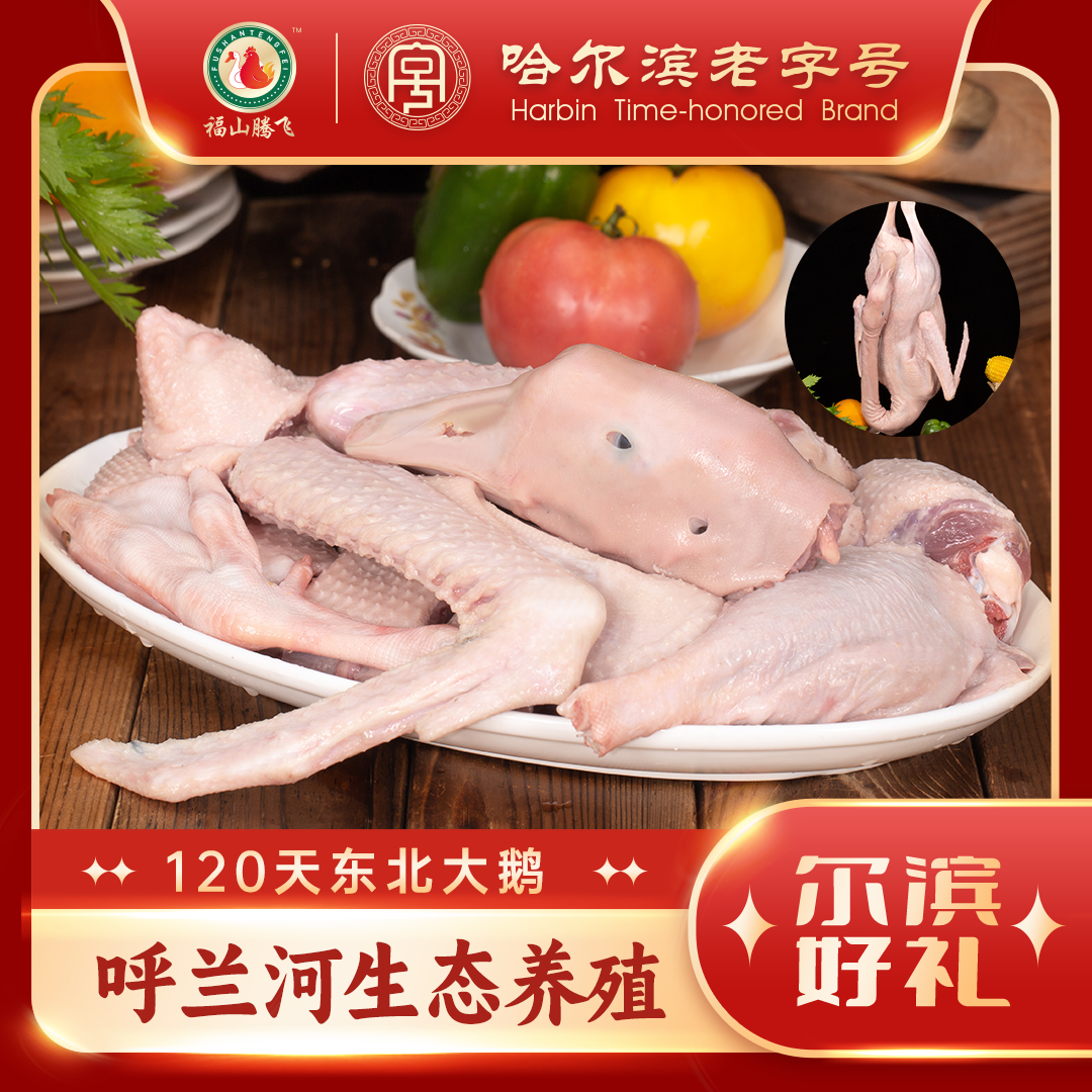 福山腾飞优选120天东北大鹅