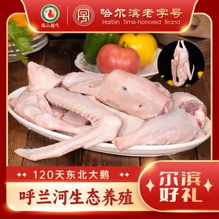 【福山腾飞】东北大鹅散养新鲜生鲜鹅整只