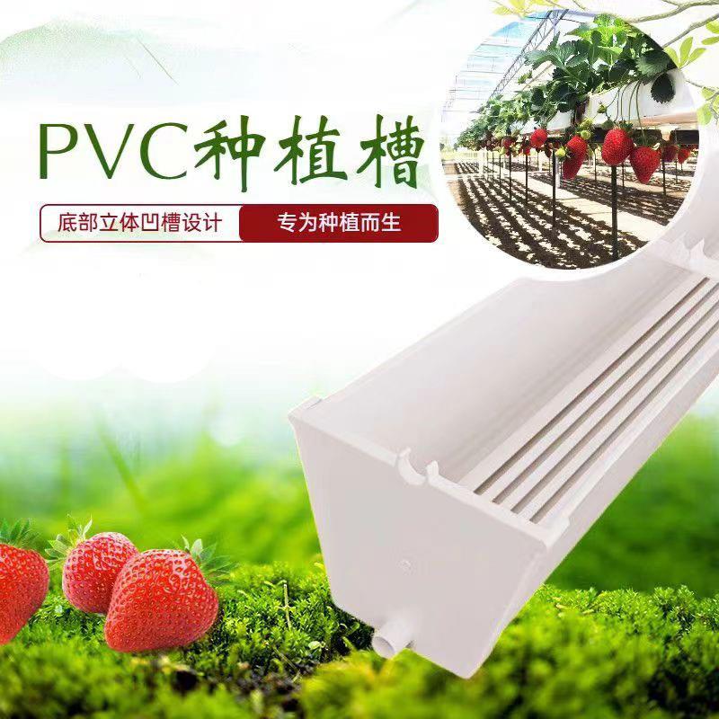 大棚无土栽培设备空中种植草莓番茄蔬菜营养钵PVC壁挂排水种植槽