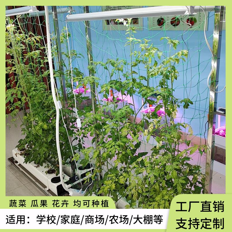 无土水培设备果蔬栽培架适用叶菜类番茄黄瓜辣椒豆角等攀爬类植物