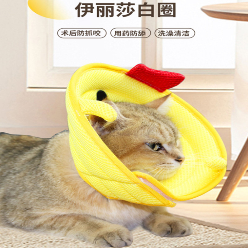 可爱卡通猫咪小狗绝育伊丽莎白圈