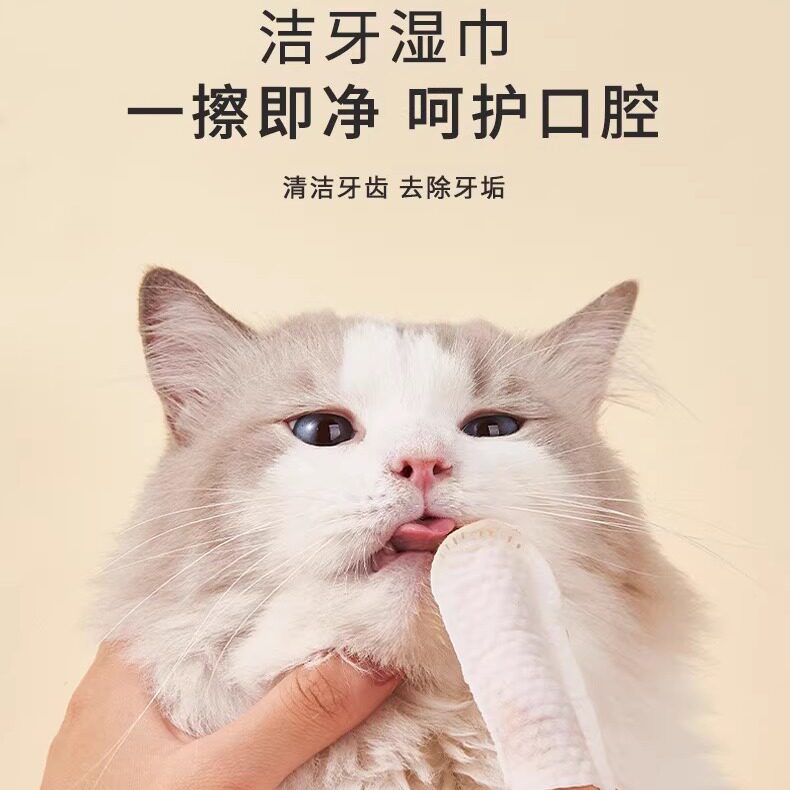 猫咪宠物刷牙专用手指湿巾牙刷