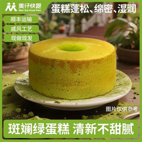 D正品网红同款新加坡PANDA