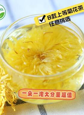 新日期菊花茶袋装天山雪菊白菊金盏菊野菊花贡菊洋甘菊金丝皇菊一