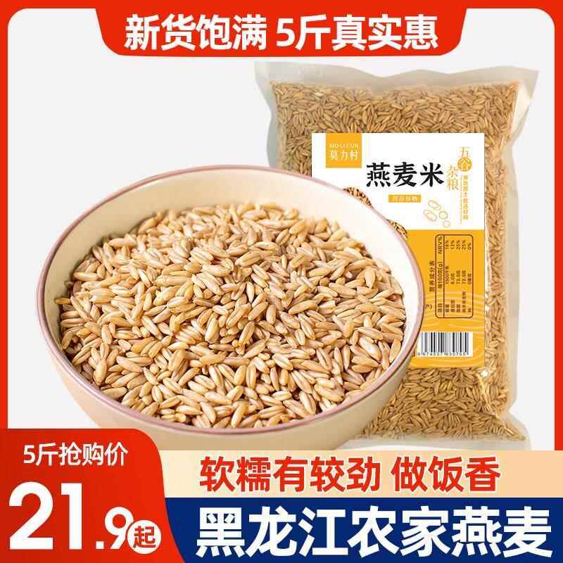 新日期东北燕麦米5斤新米