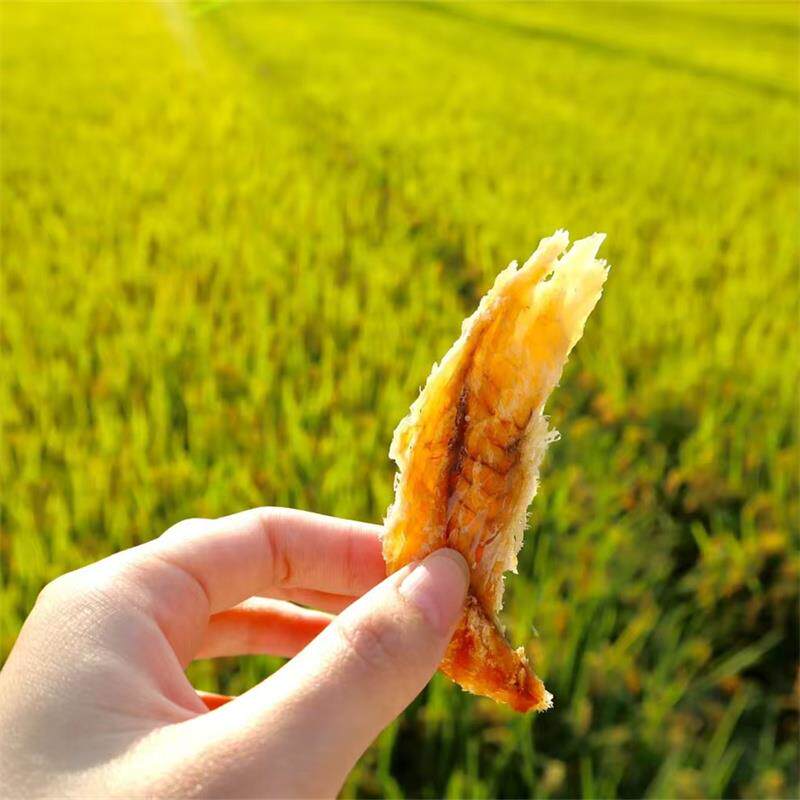新日期舟山特产即食烤鱼片