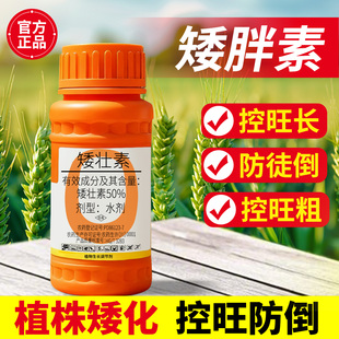 矮胖素矮壮素国光抑灵花卉专用水仙菊花蔬菜控旺药国光农药旗舰店